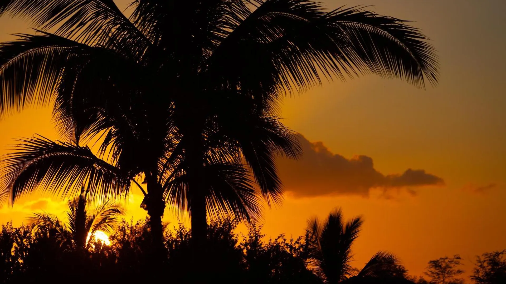 Pih: Hawaii Magic Sunset Ocean Views Near Pools Villa Waikoloa United States